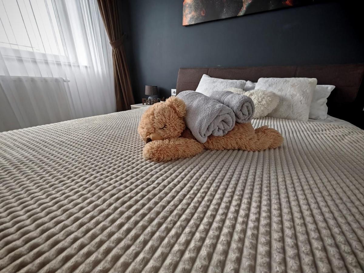 Luxurious Landing Apartment Braszów Zewnętrze zdjęcie